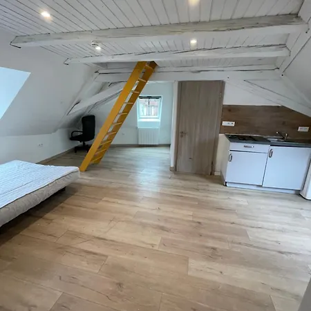Apartment Mezzanine Molsheim