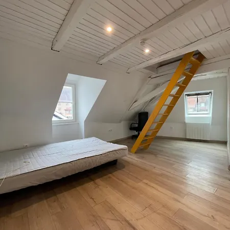 Mezzanine Apartment Molsheim